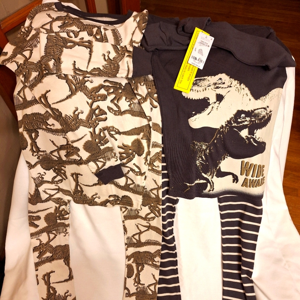 Carter’s Boys Dinosaur Pajamas Size 14